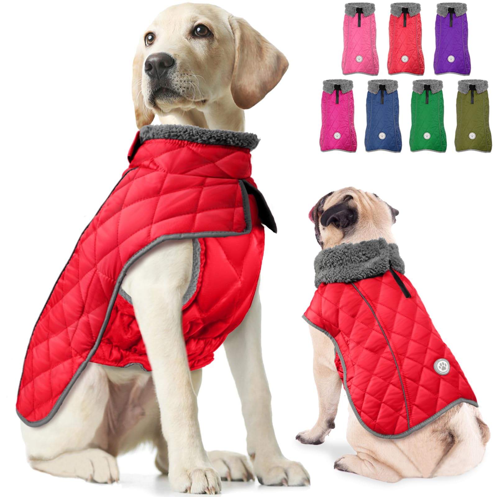Fragralley abrigo de invierno impermeable para perro, ideal para días de lluvia