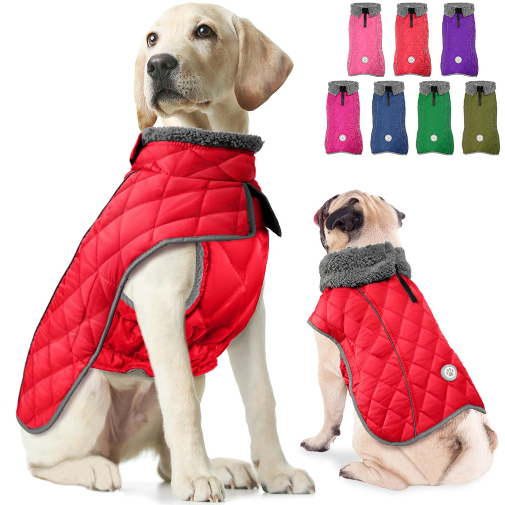 Fragralley abrigo de invierno impermeable para perro, ideal para días de lluvia