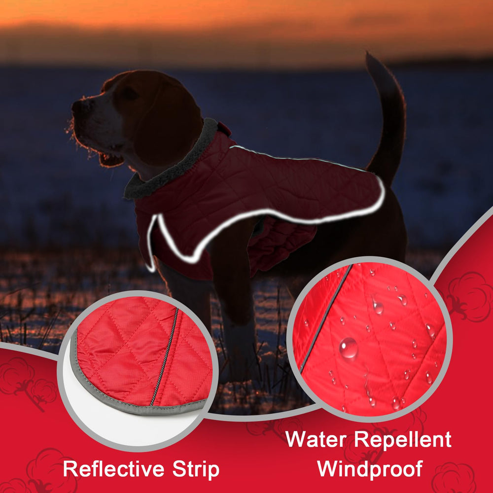 Fragralley abrigo reflectivo para perro para salidas nocturnas