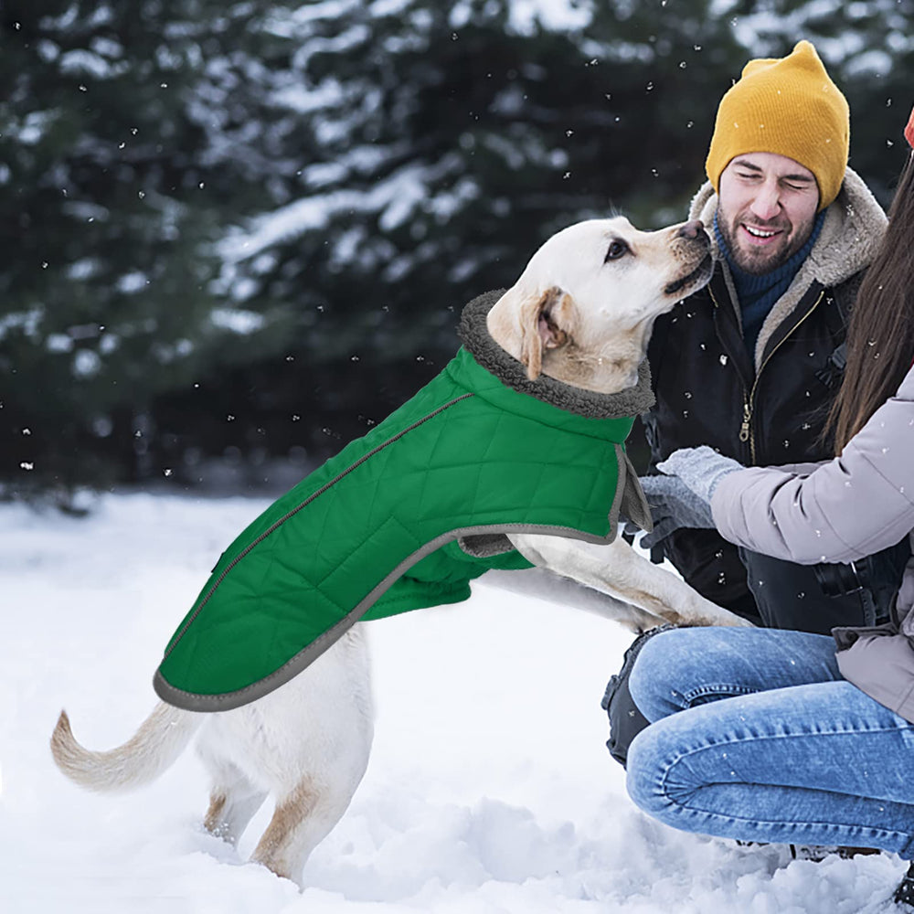 Fragralley abrigo para perro, seis tallas disponibles para ajuste óptimo