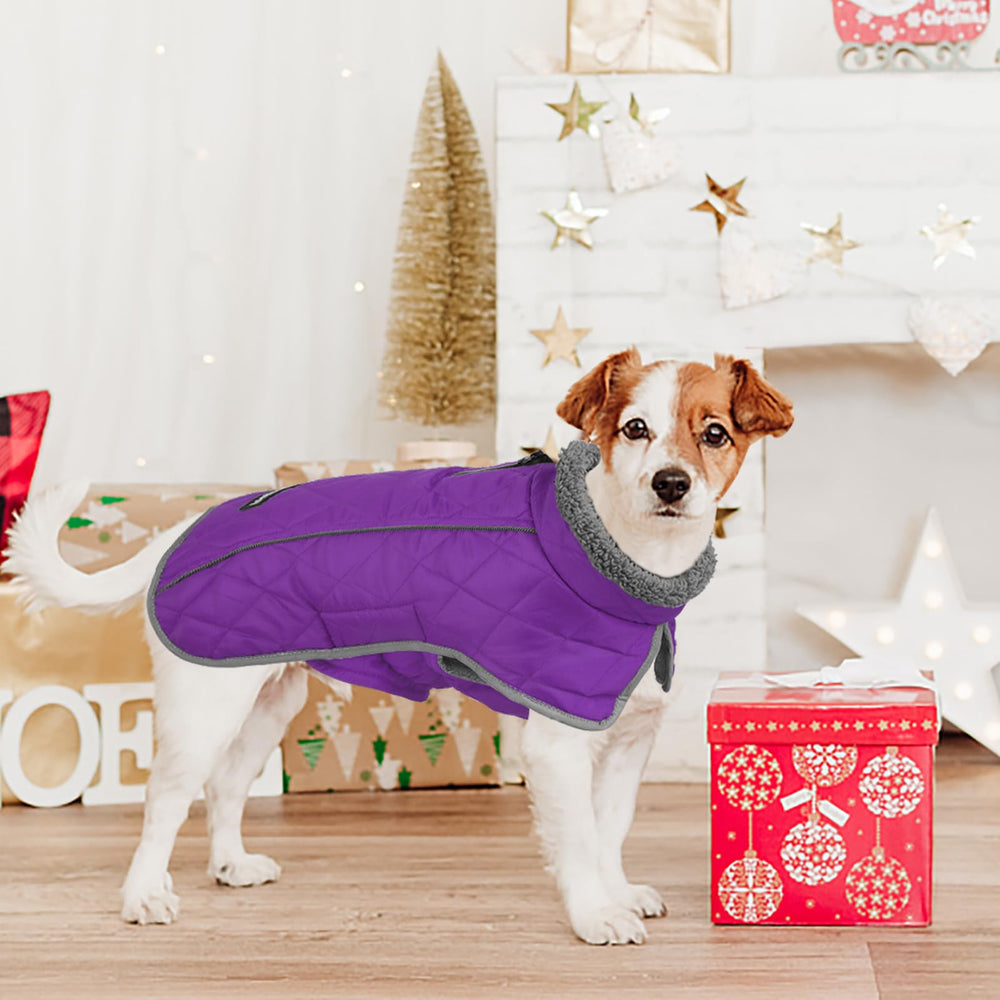 Fragralley chaqueta perro, ajuste de velcro en cuello y barriga para mayor comodidad.