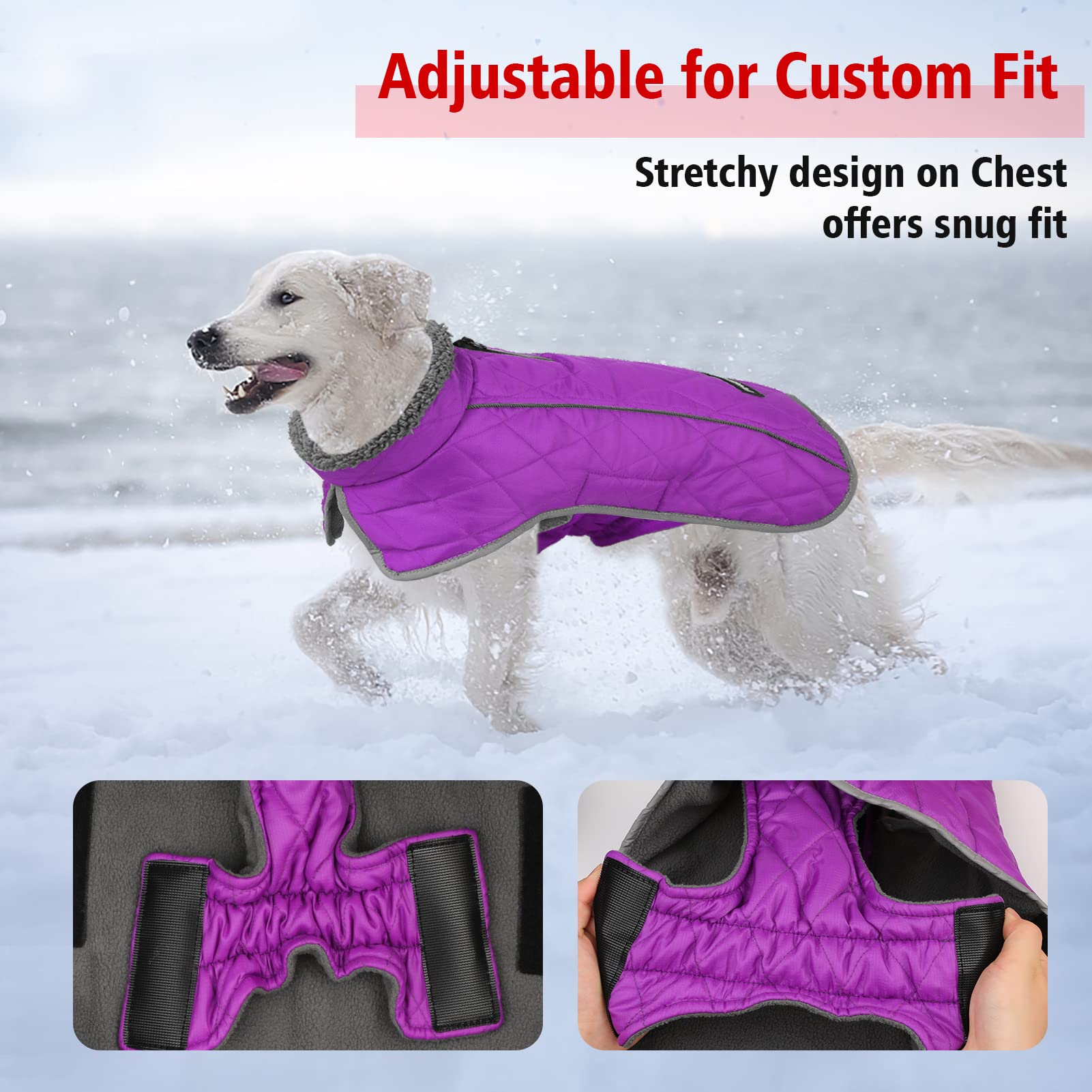 Fragralley chaqueta perro con bandas reflectantes dobles para visibilidad nocturna.