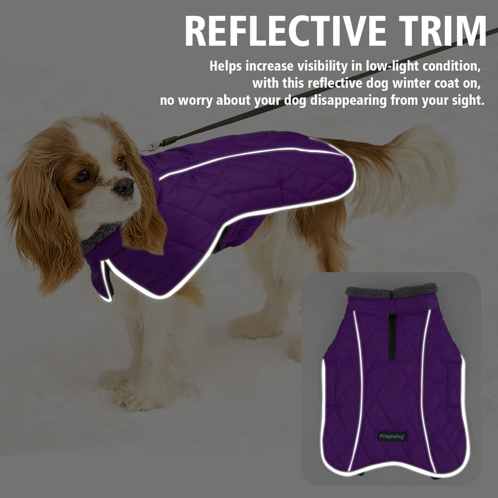 Fragralley chaqueta para perro, correas para las patas aseguran ajuste durante juego.