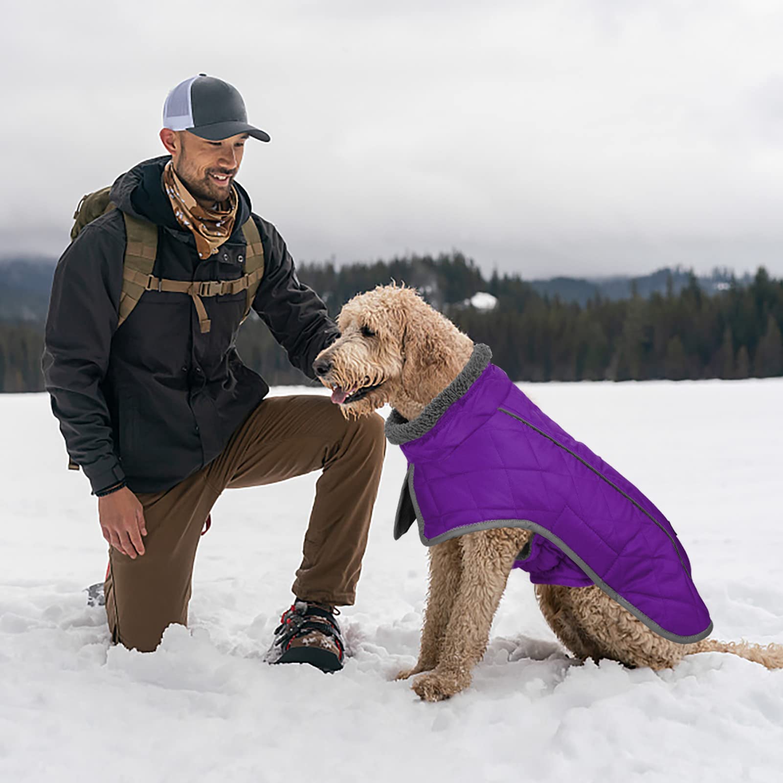 Fragralley chaqueta para perro, diseño práctico para lluvia moderada y viento.