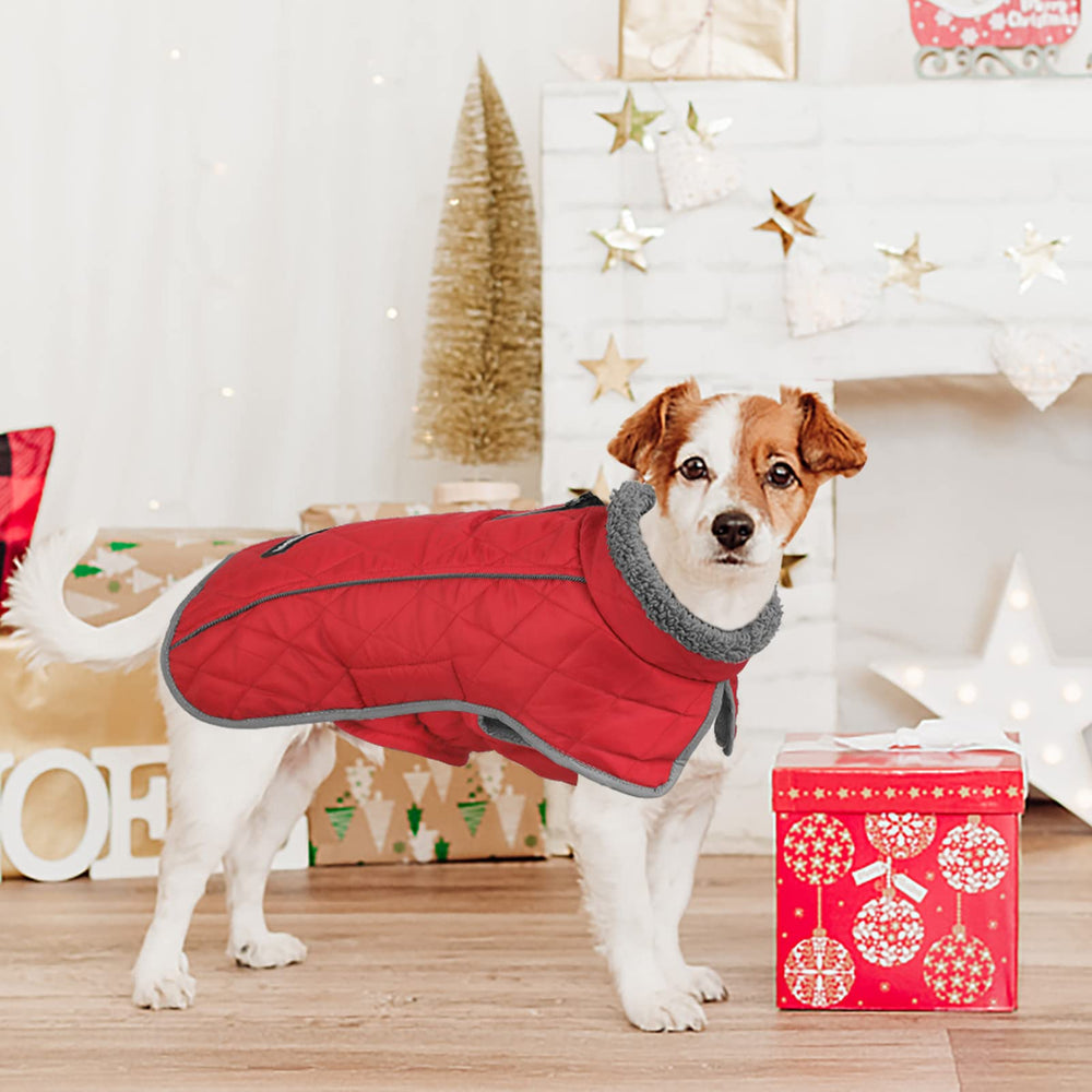 Fragralley dos tiras para patas aseguran la chaqueta en su lugar.