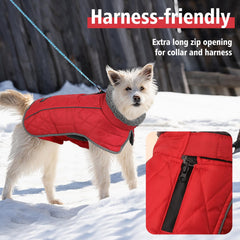 Fragralley chaqueta fácil de poner y quitar para paseos rápidos.