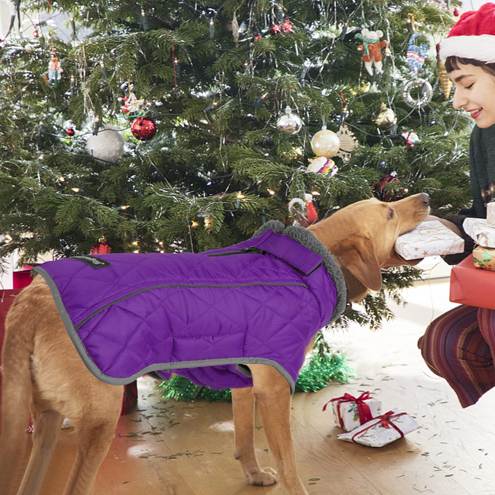 Fragralley chaqueta para perro con forro felpa cálido, sensación suave en días fríos.