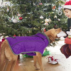 Fragralley chaqueta para perro con forro felpa cálido, sensación suave en días fríos.