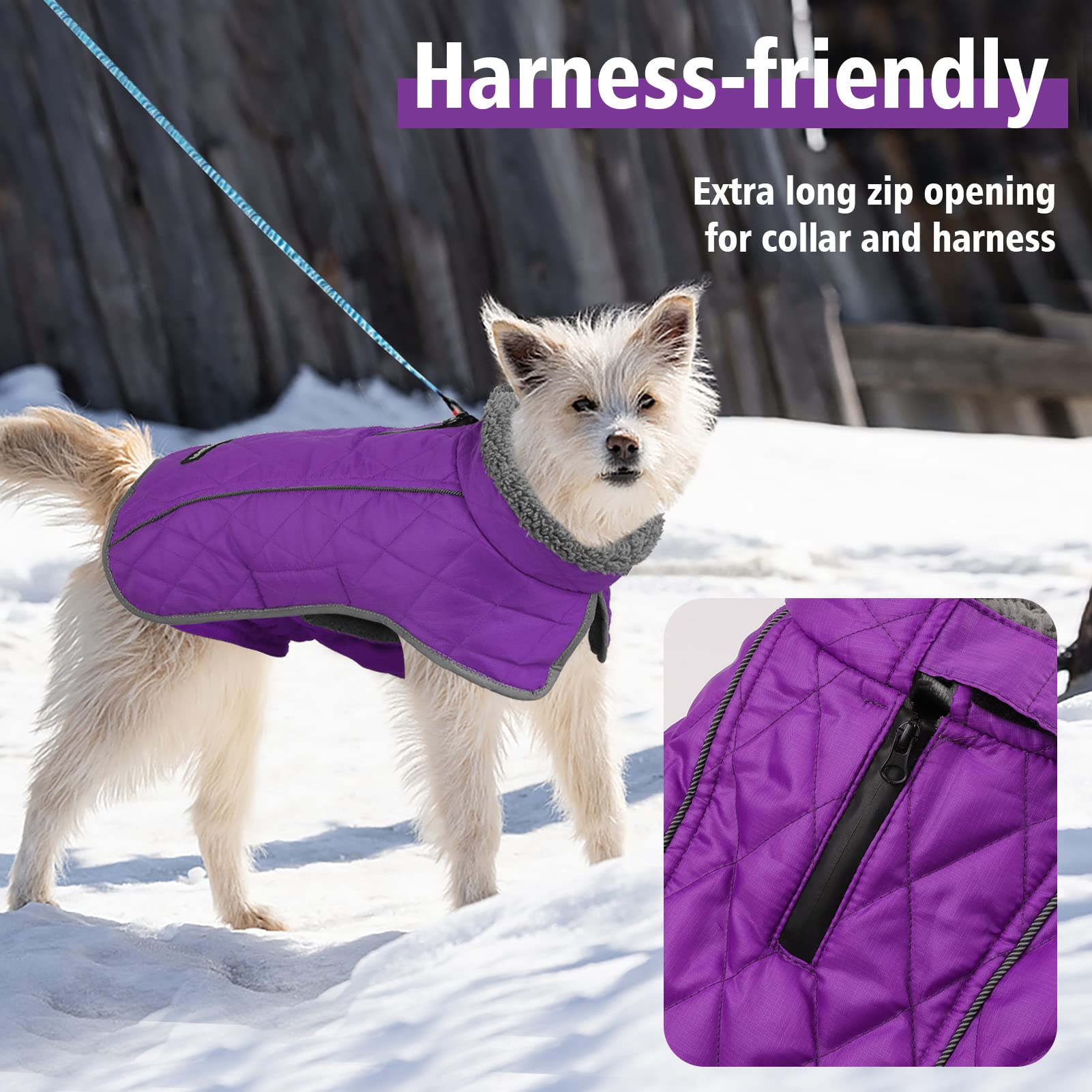 Fragralley chaqueta perro, orificio para correa impermeable para paseos secos.
