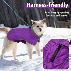 Fragralley chaqueta perro, orificio para correa impermeable para paseos secos.