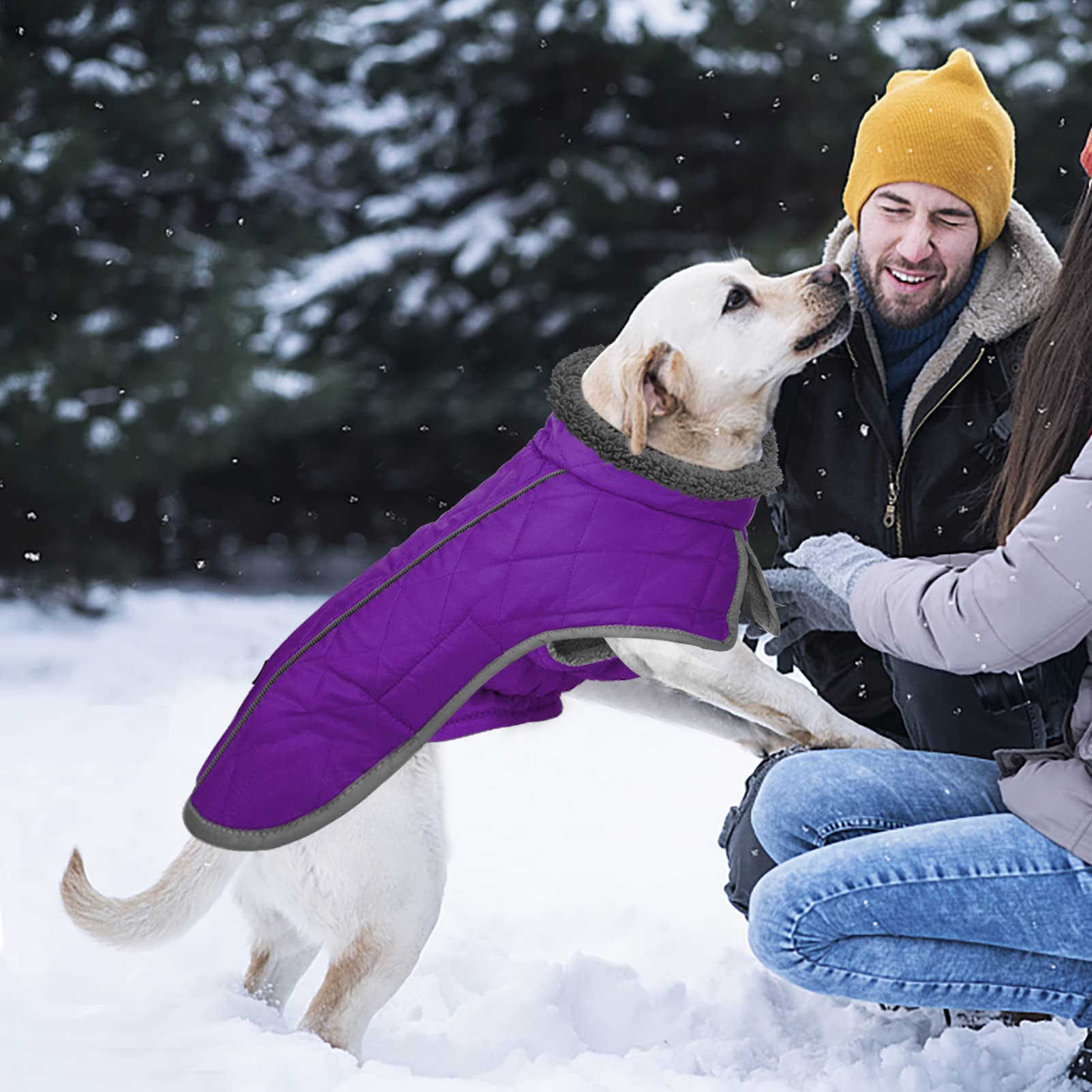 Fragralley chaqueta perro, disponible en varias tallas para ajuste perfecto.