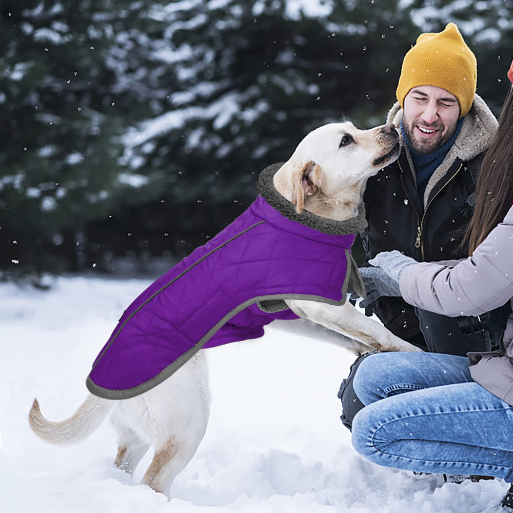 Fragralley chaqueta perro, disponible en varias tallas para ajuste perfecto.
