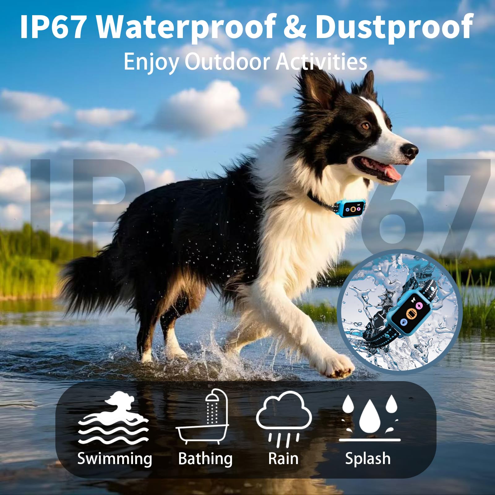 Frayo sensor-pasos pedometro registra la actividad diaria del perro