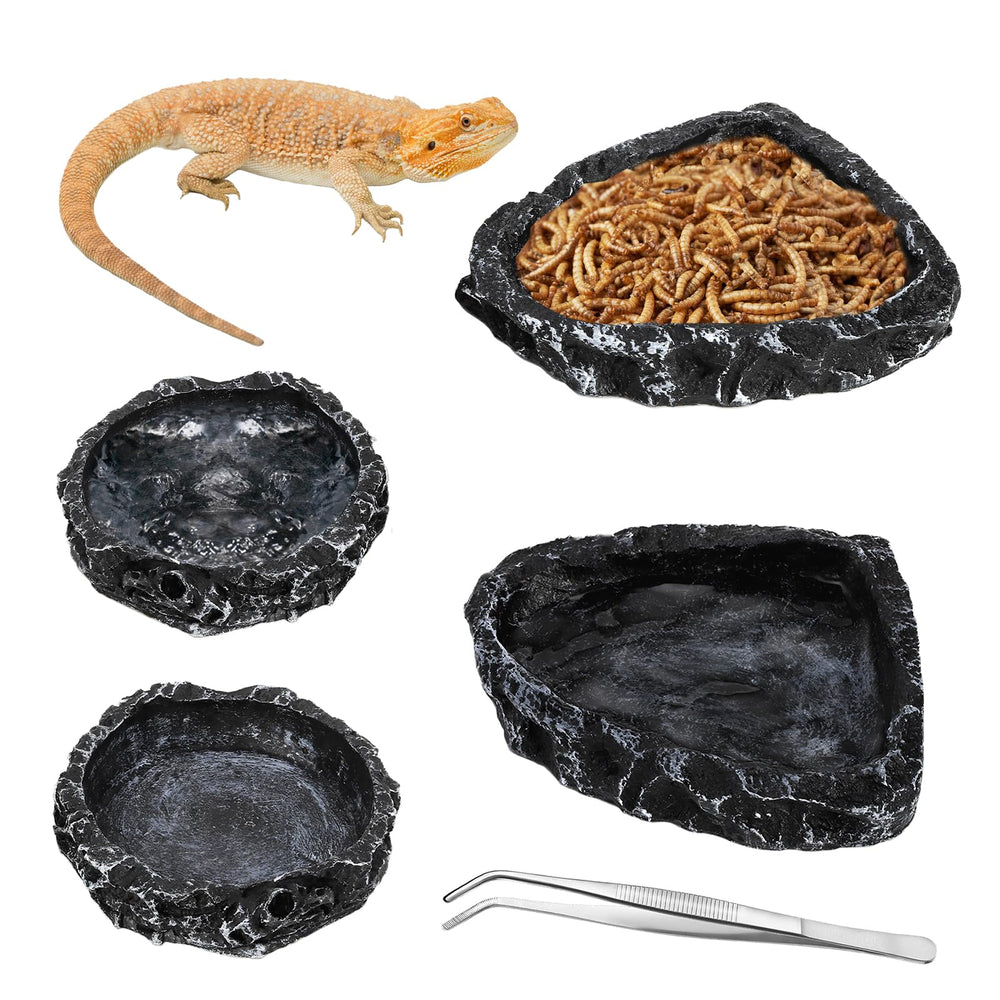 Frcctre cuenco triangular para alimento de reptil, separación clara de comida y agua.