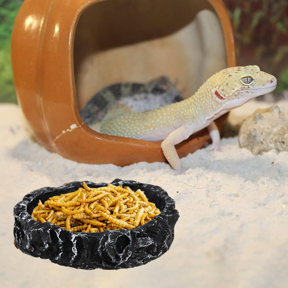 Frcctre cuenco para comida y agua, ideal para geckos y tortugas.