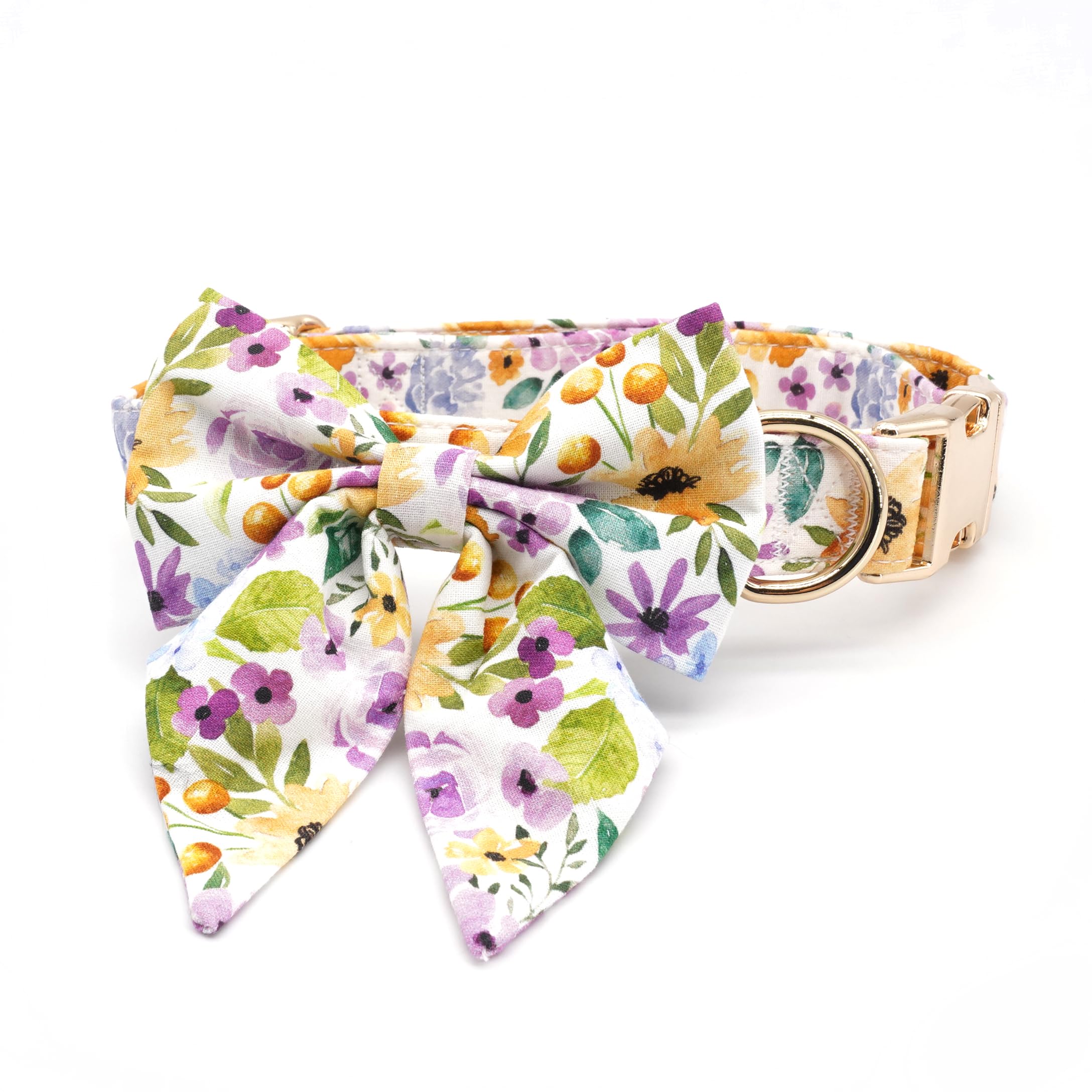 Collar Free Sunday de uso diario, perfecto para paseos y ocasiones especiales.