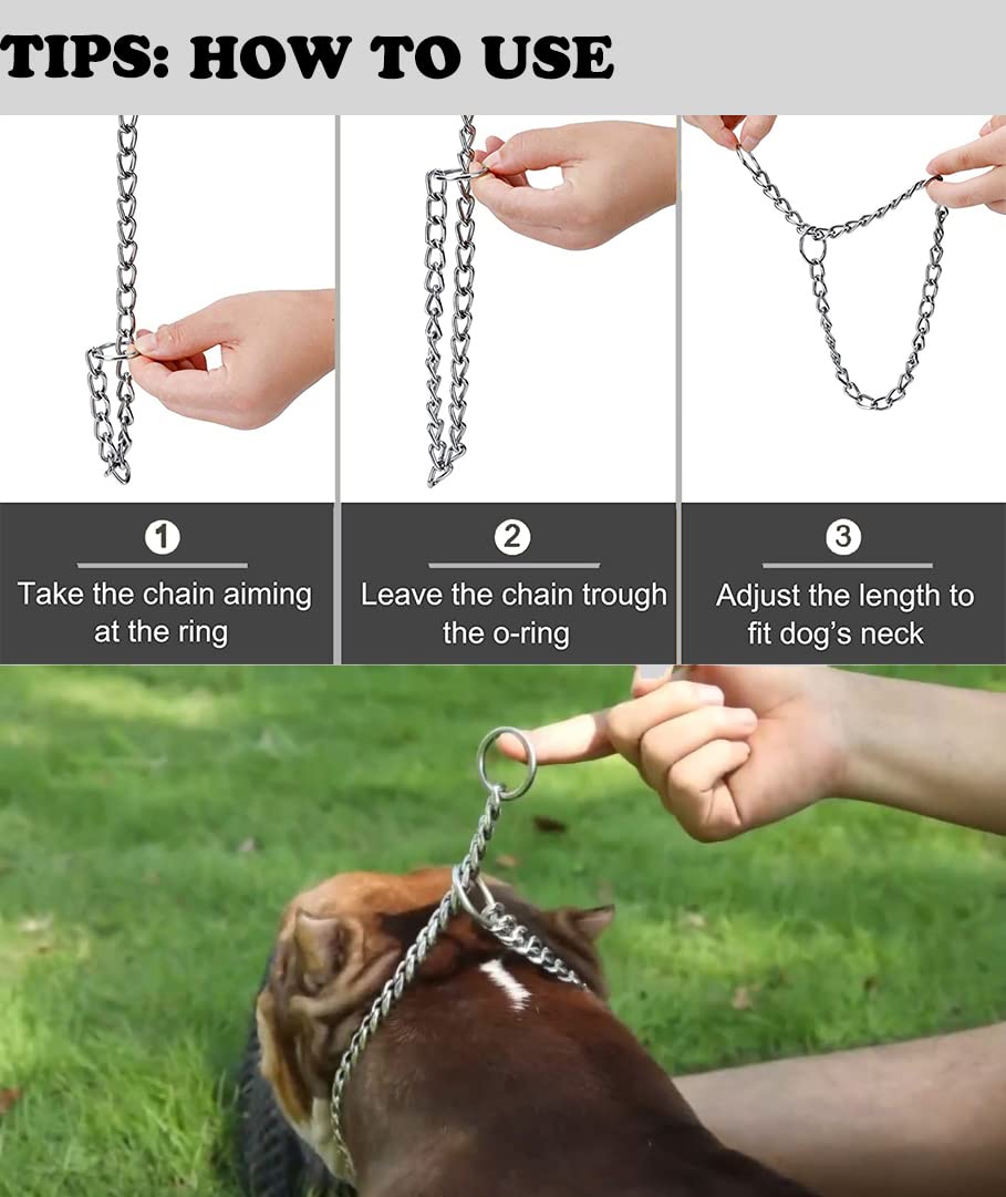 Freezx Collar de entrenamiento con recubrimiento cromado, resistencia a la intemperie