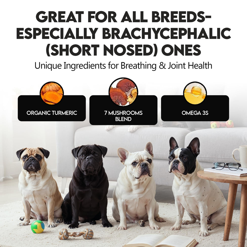 Uso fácil sobre la comida para perros Frenchies vs Everybody, ideal para comedores exigentes.