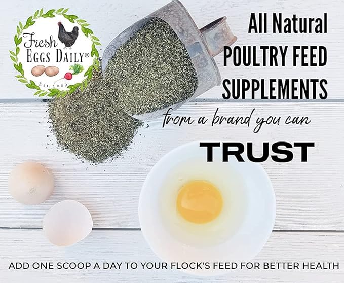 Fresh Eggs Daily posible mejora de producción de huevos con cáscaras más firmes