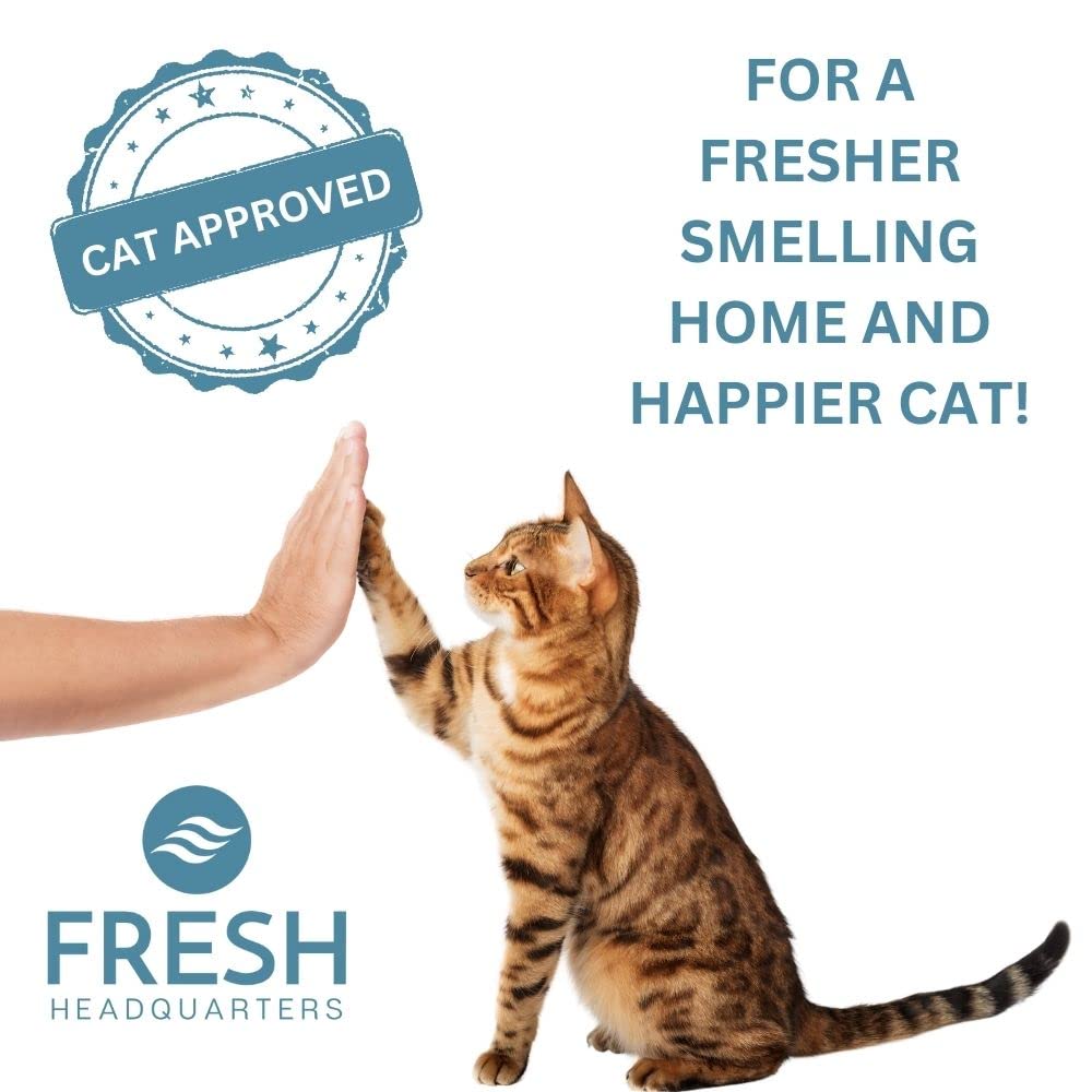 FRESH HEADQUARTERS: control de polvo y residuos con filtro de carbono de alto rendimiento.