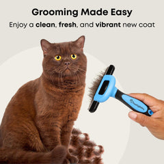 Freshly Bailey Deshedding Brush dejando un pelaje con olor más fresco