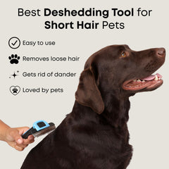 Freshly Bailey Deshedding Brush reduciendo pelo suelto en el hogar