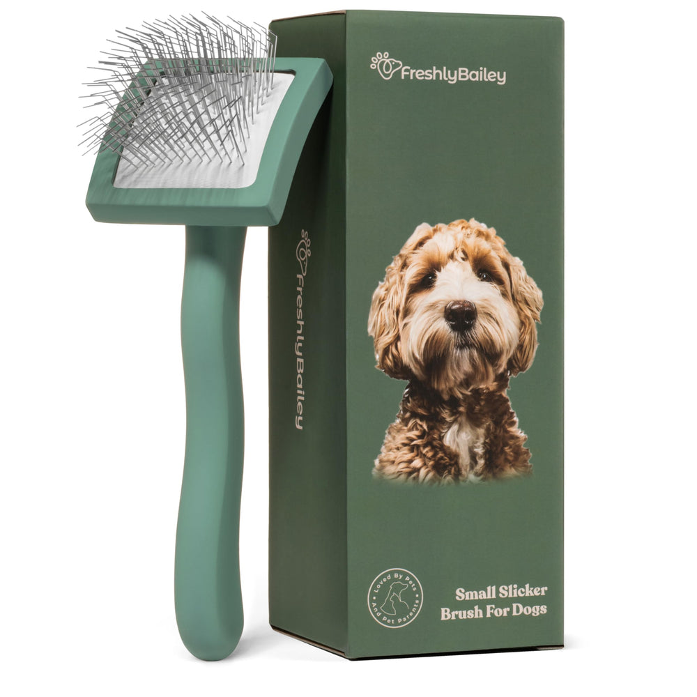 Freshly Bailey Doodle Brush con cerdas largas para un cepillado suave y eficaz.