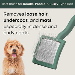 Freshly Bailey Doodle Brush elimina nudos y subpelos para un pelaje limpio.