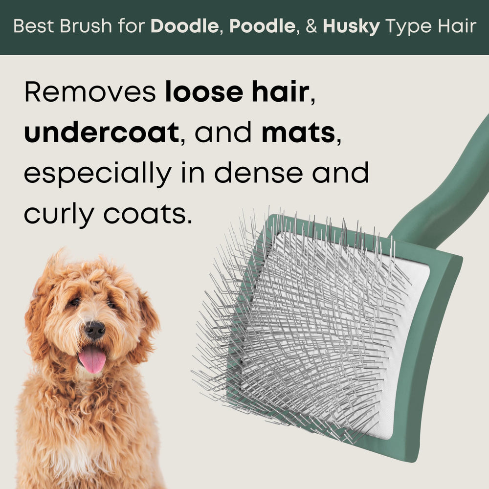 Freshly Bailey Doodle Brush para subpelo suave y cómodo