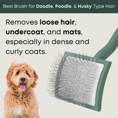 Freshly Bailey Doodle Brush para subpelo suave y cómodo