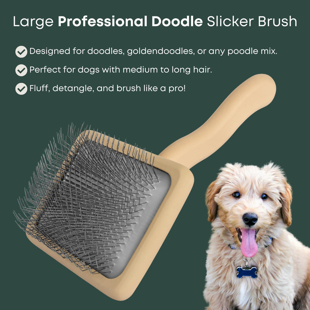 Freshly Bailey Doodle Slicker con pines largos deshace nudos profundos.