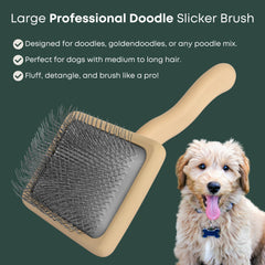 Freshly Bailey Doodle Slicker con pines largos deshace nudos profundos.