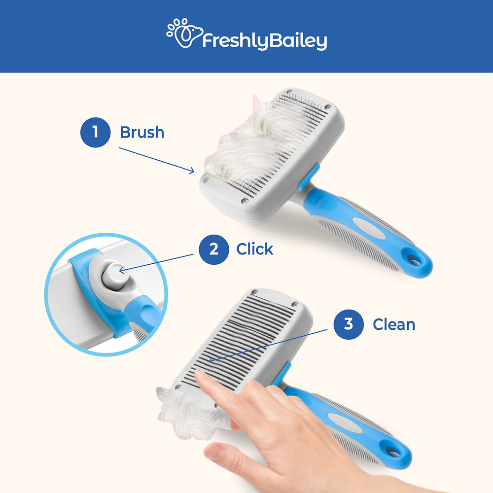 Diseño blanco y azul de Freshly Bailey, cómodo para sesiones de cepillado