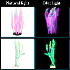 Frienda anémona fluorescente verde añade textura y color al acuario