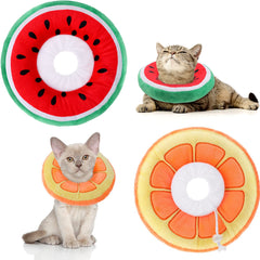 Frienda collar cono gato naranja, protege la herida y facilita comer.