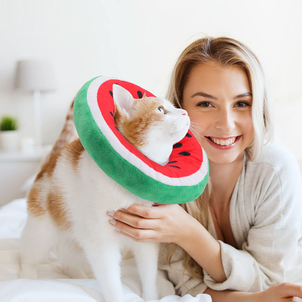 Frienda collar cono gato uso diario, práctico para baño o recorte de uñas.