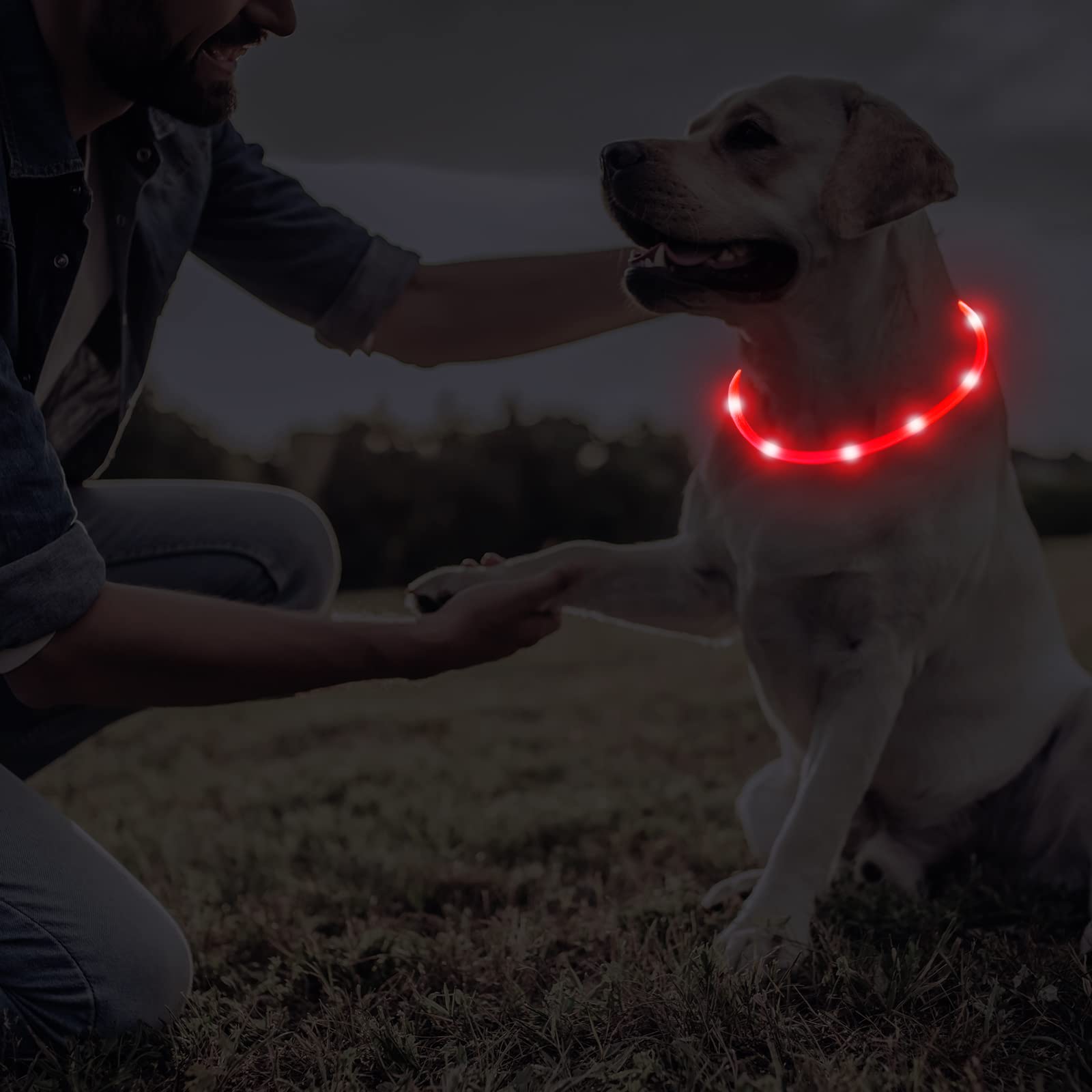 Collar Frienda LED, recarga USB para evitar baterías
