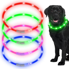 Collar LED Frienda azul para perros, visibilidad nocturna mejorada