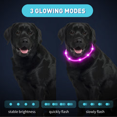 Collar LED Frienda rojo para perros, detección en oscuridad