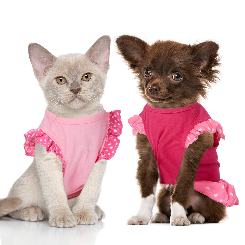Frienda conjunto vestido perro cuatro piezas, ideal para celebraciones y sesiones de fotos.