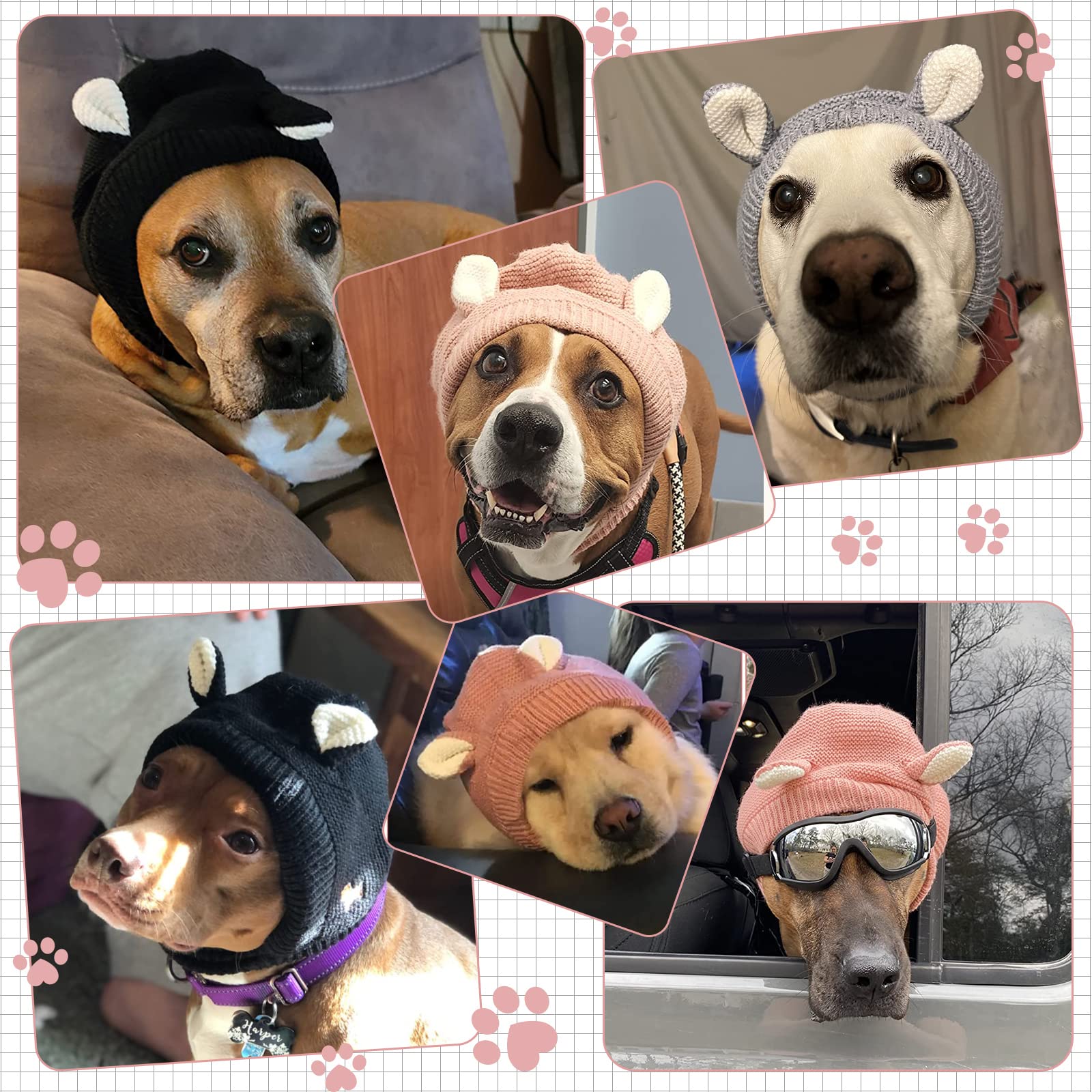 Frienda diseño envolvente para cuello de perro, ajuste cómodo y seguro.