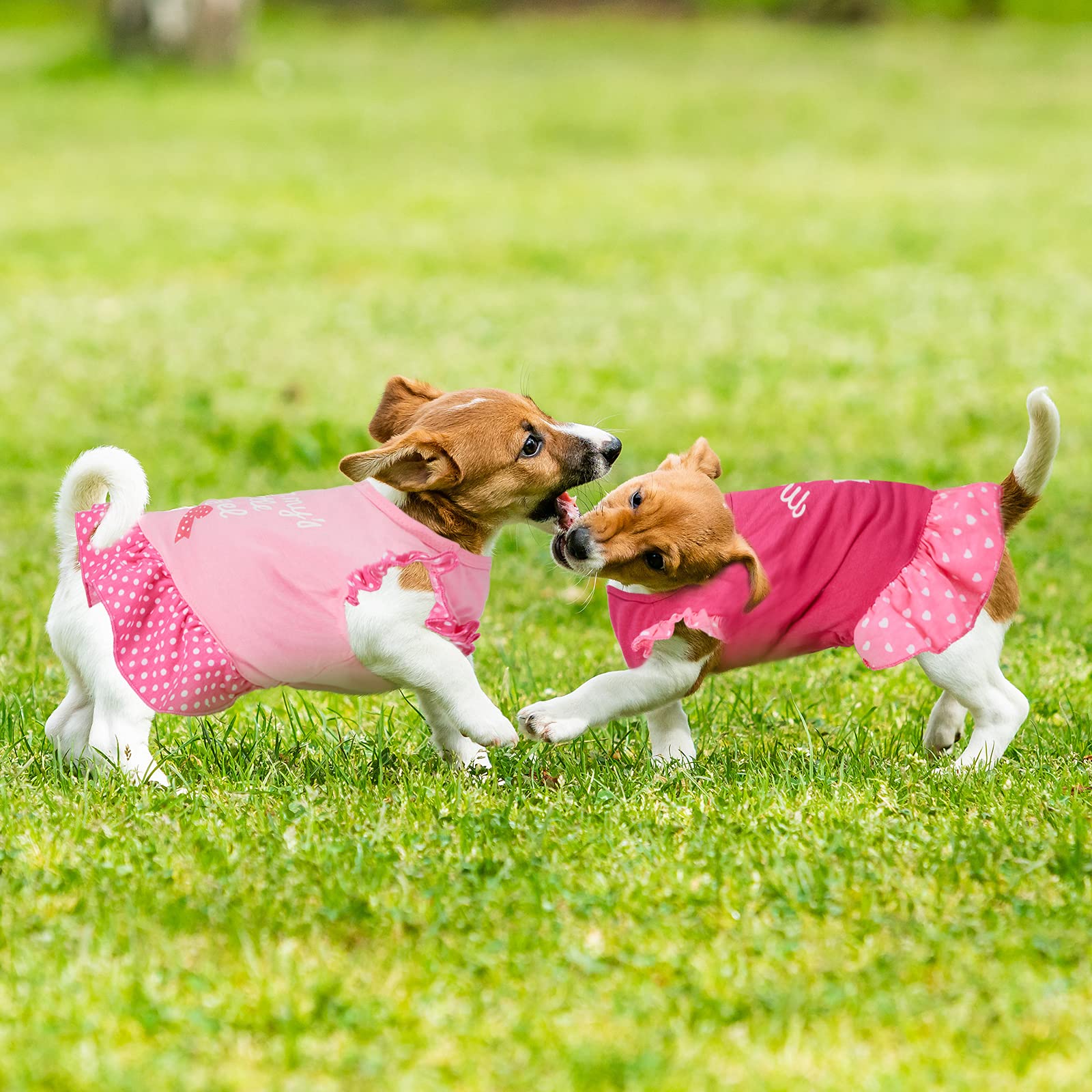 Frienda disfraz perro día de San Valentín, perfecto para looks festivos y fotos.
