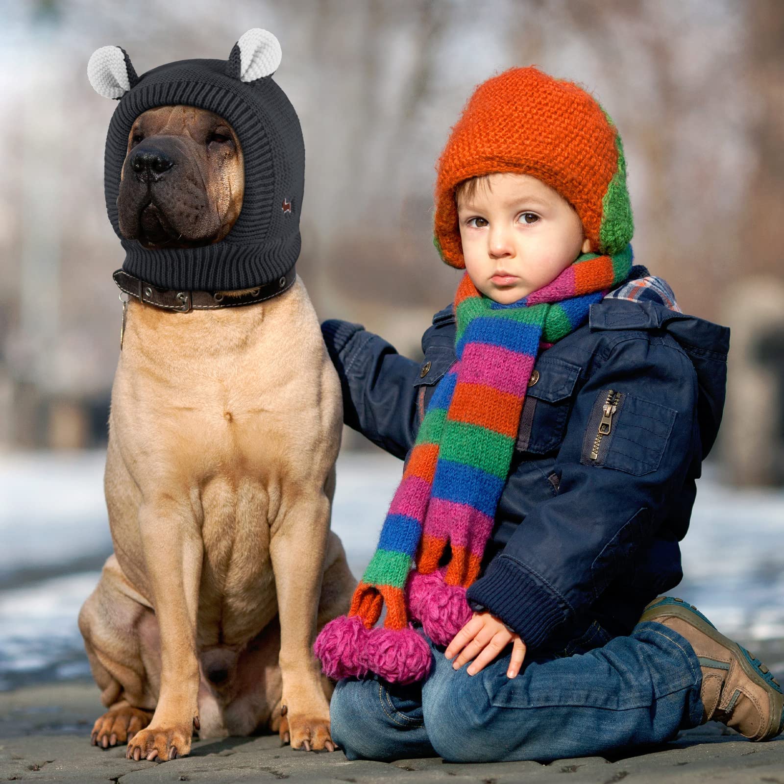 Frienda orejas lavables y duraderas para perros