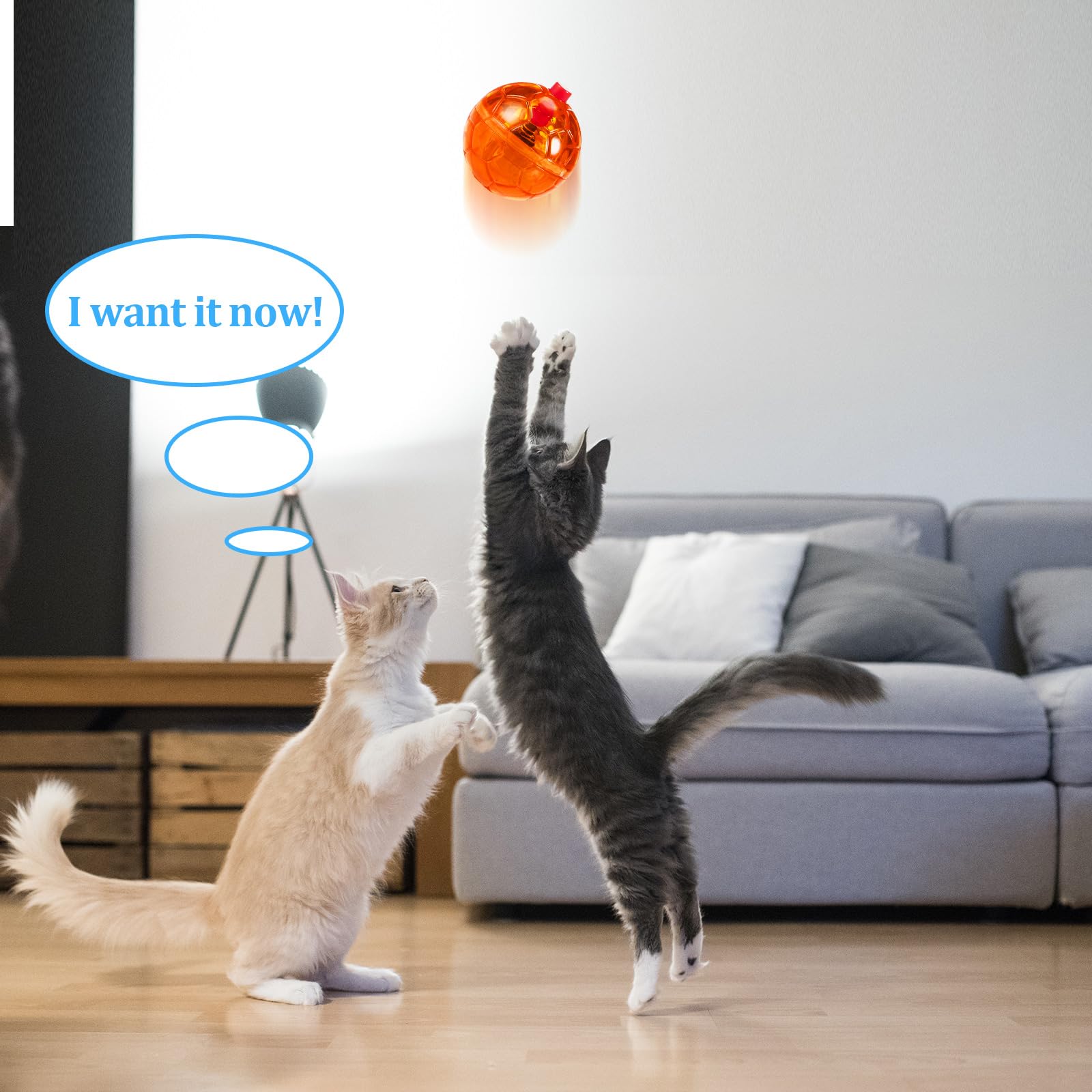 Regalo Frienda para mascota, fomenta juego y vínculo.