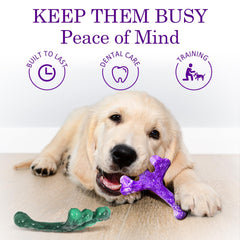 Frienhund Nylon resistente para masticadores agresivos, mayor durabilidad.