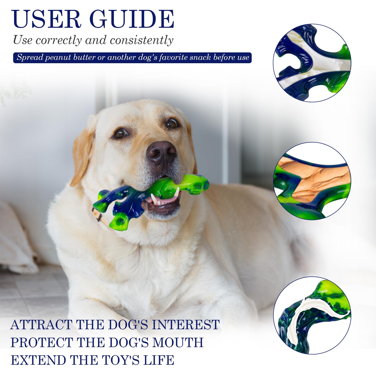 Frienhund estimulación mental y ejercicio para perros activos.