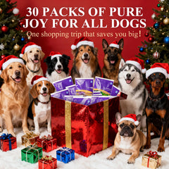 Frienhund juguete nylon resistente para perros grandes y masticadores.