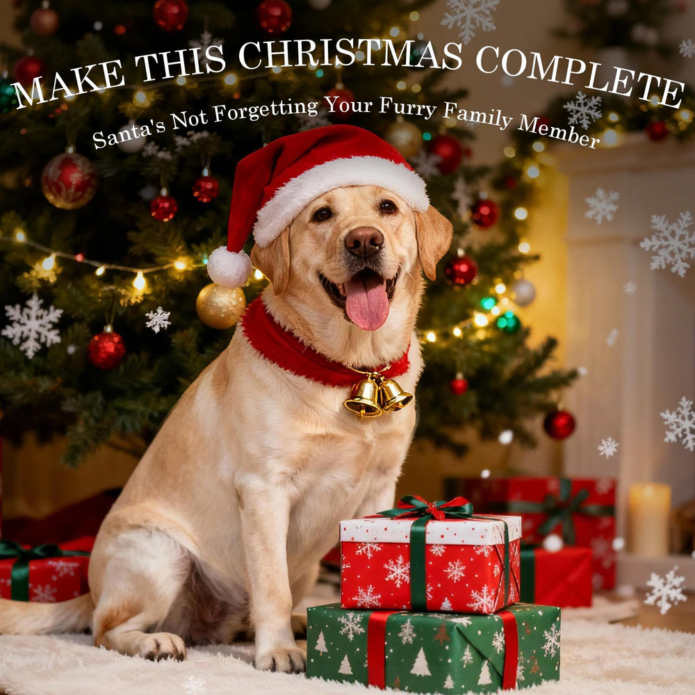 Frienhund Regalo perfecto para perros felices en ocasiones especiales.