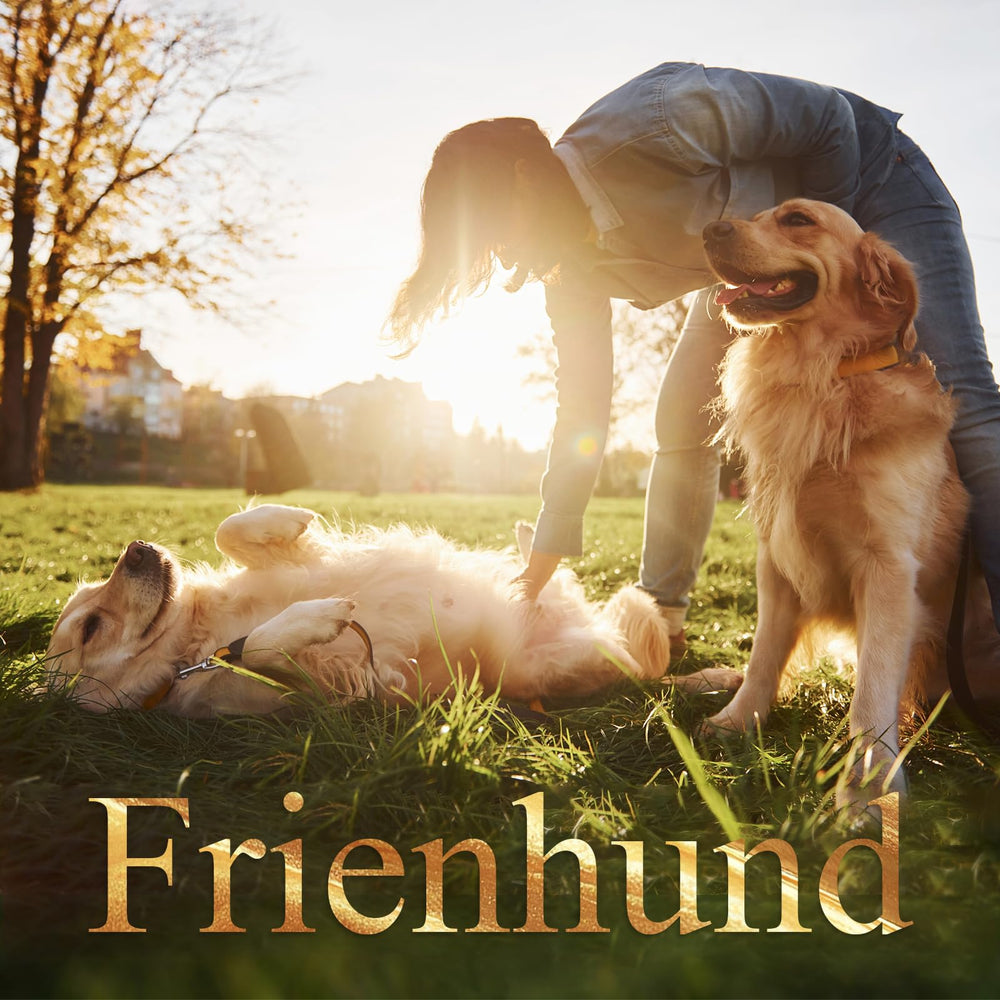 Frienhund sabor tocino premium, aroma que estimula el juego activo.