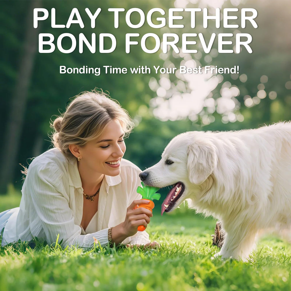 Frienhund diseñado para exterior: jardín, parque y paseos activos.